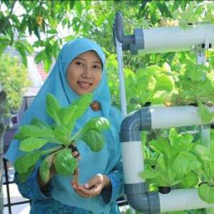 Dian Triastari Armanda, M.Sc